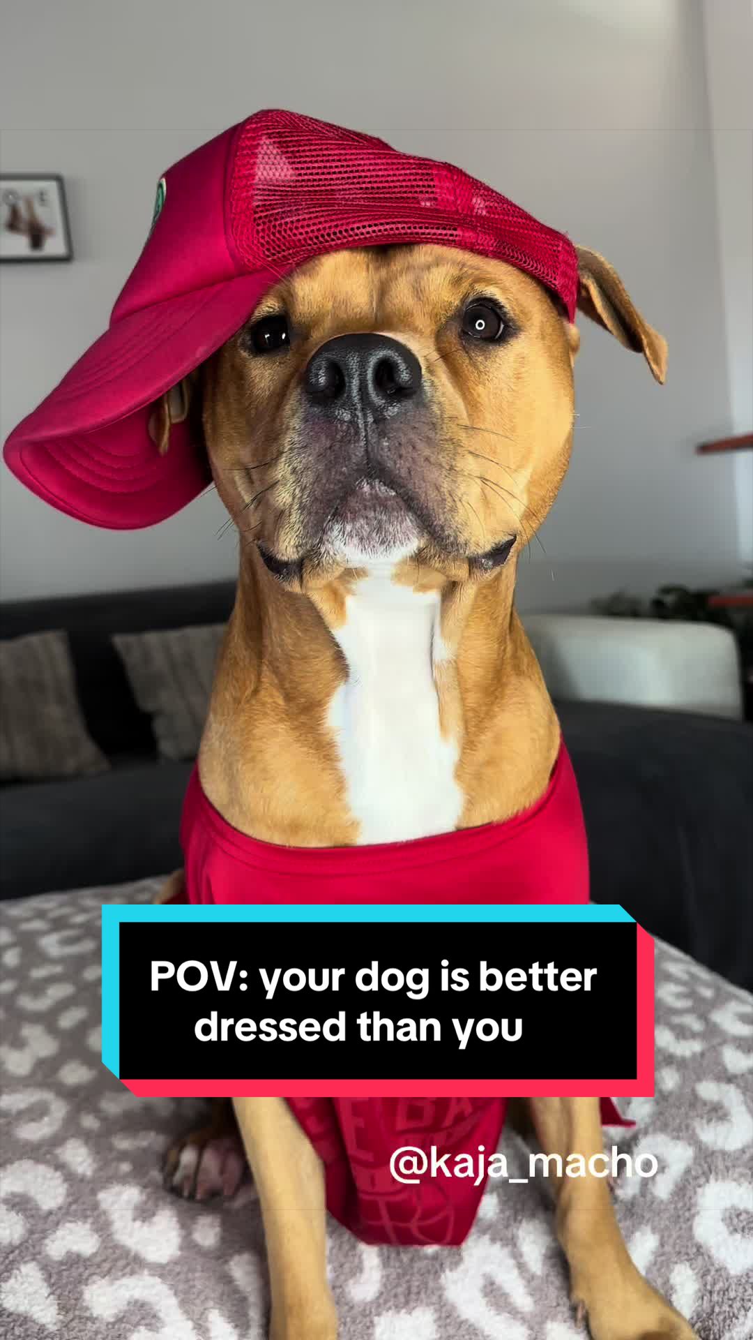 @Kaja & Macho 🥰