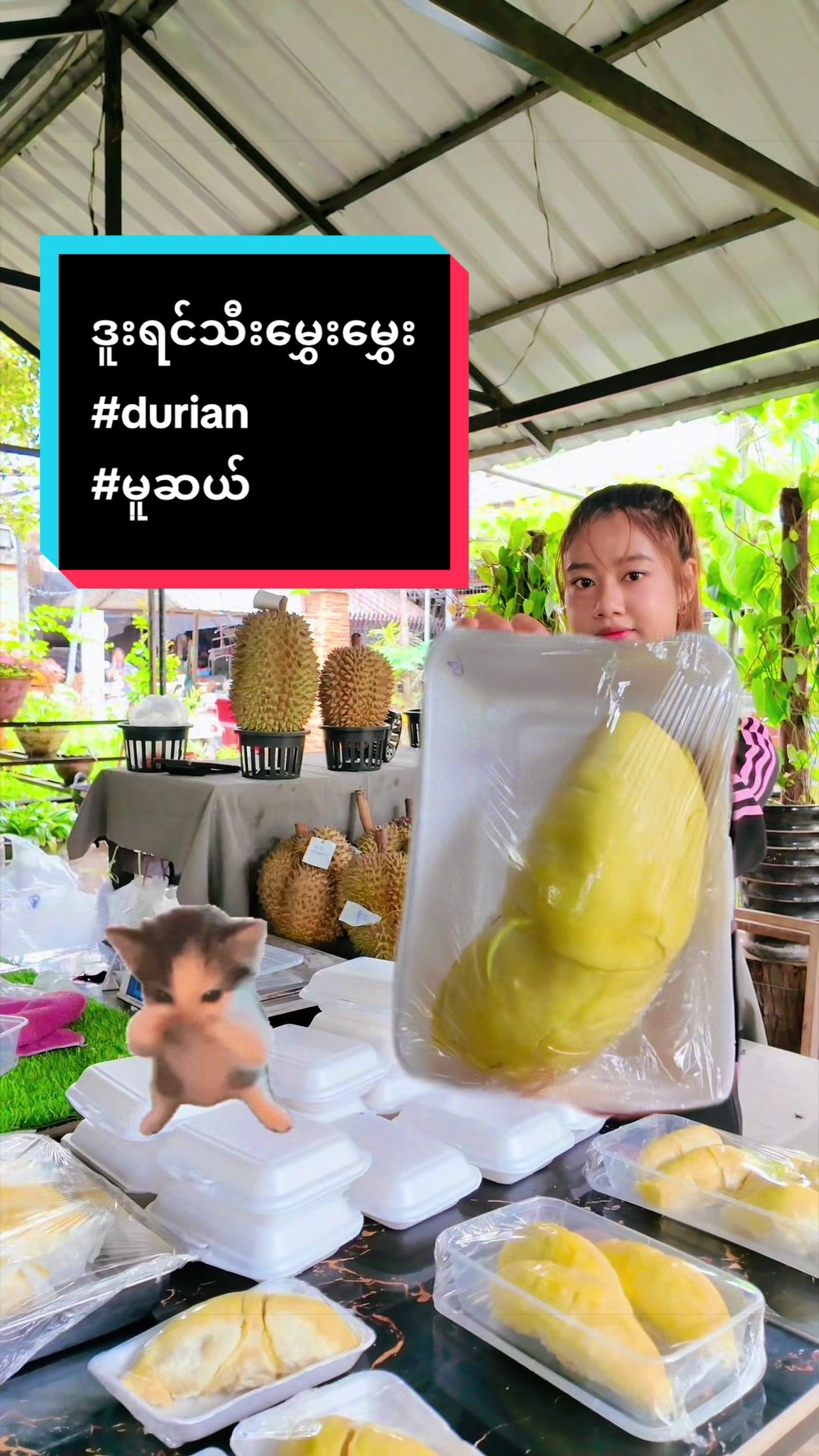 @Pansy ko( အေဖူး)