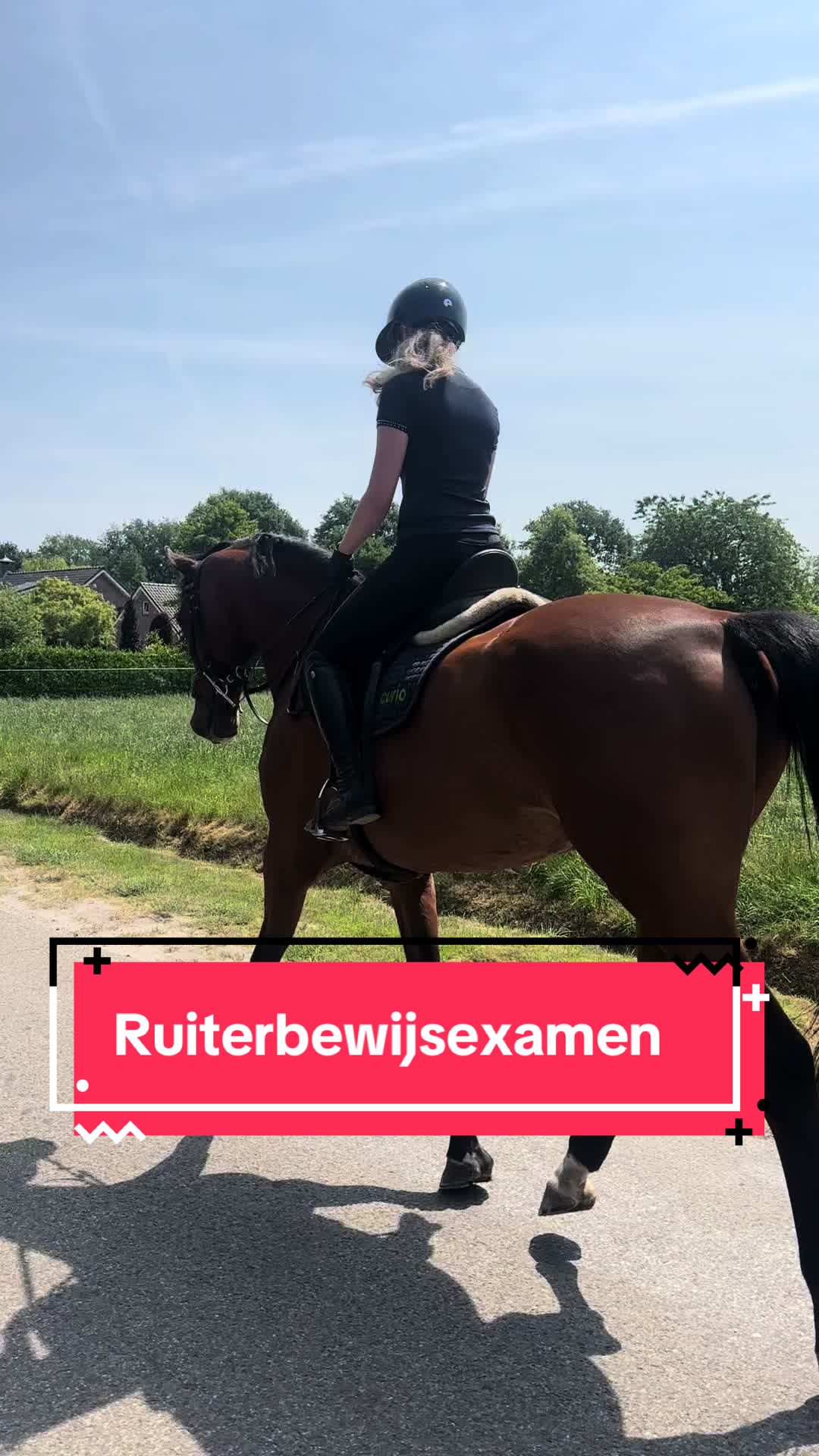 @Paardensport & -houderij Curio