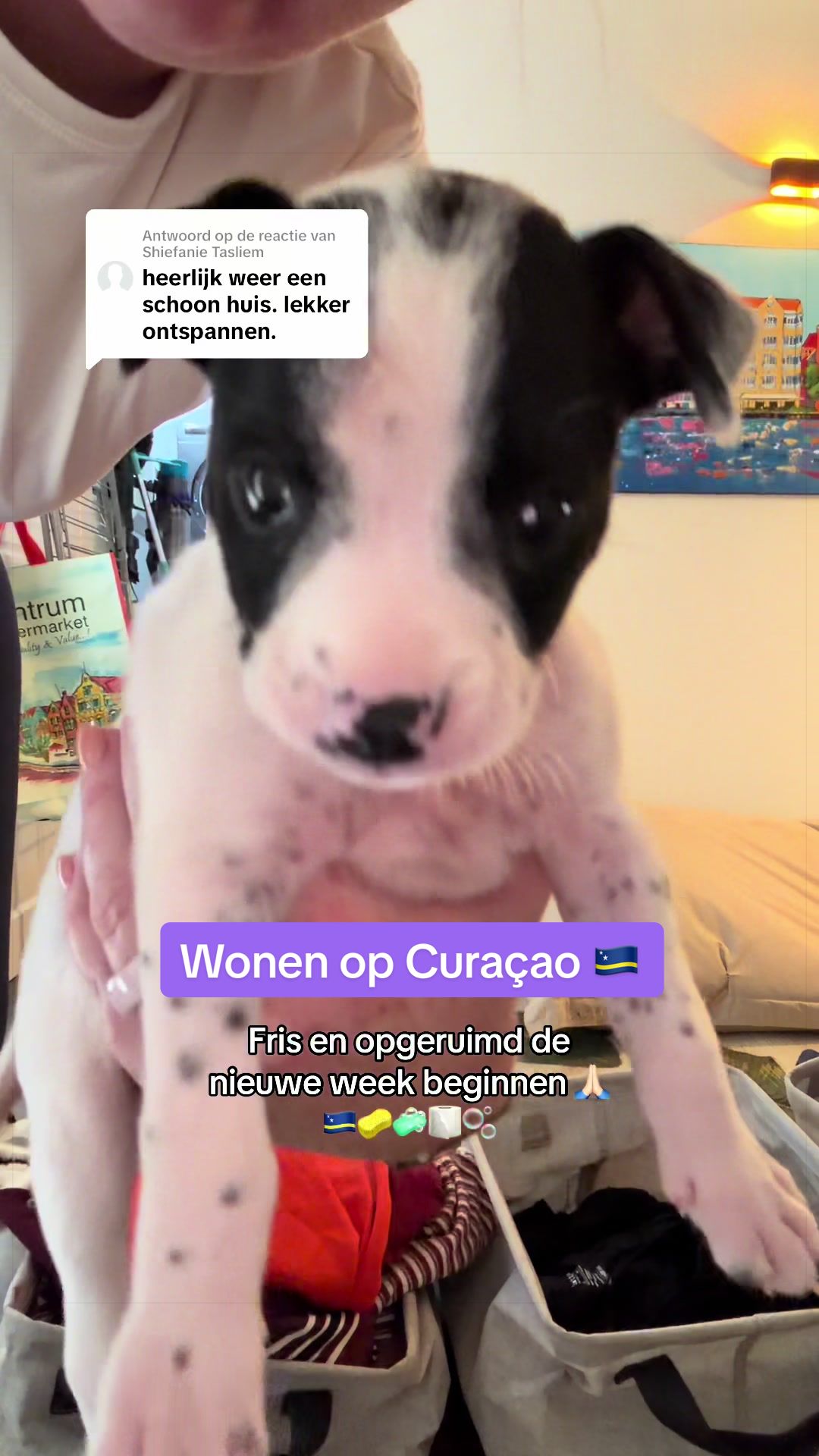 @Linda op Cura&ccedil;ao 🇨🇼
