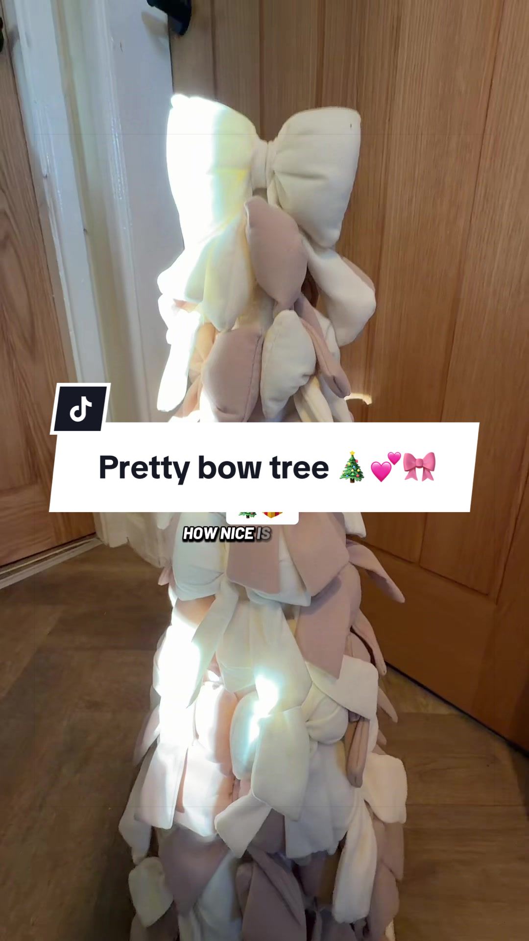 @Shaz finds 🛍️