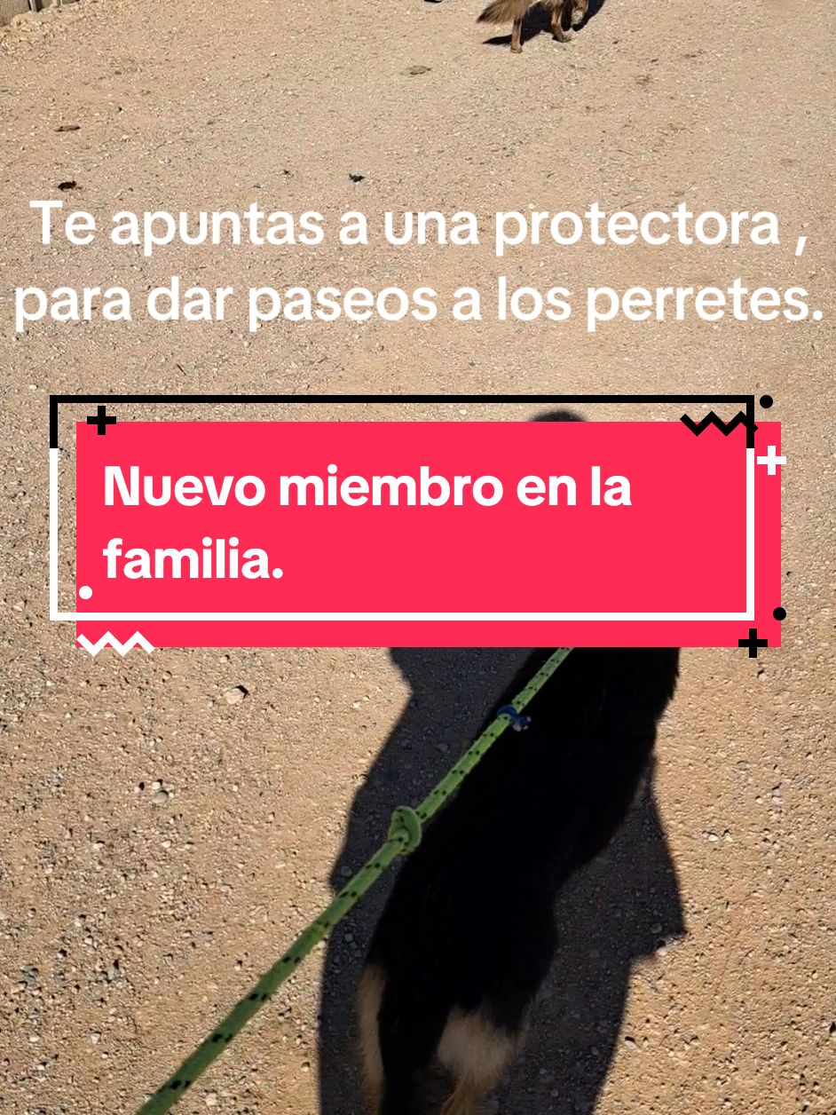 @Vive Rutas