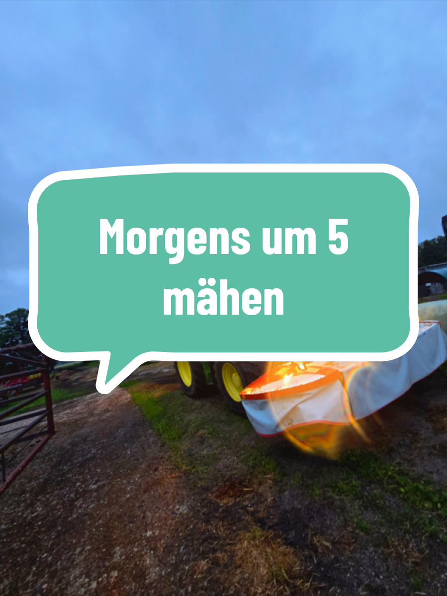 @Kuhflüsterin_aus_Leidenschaft