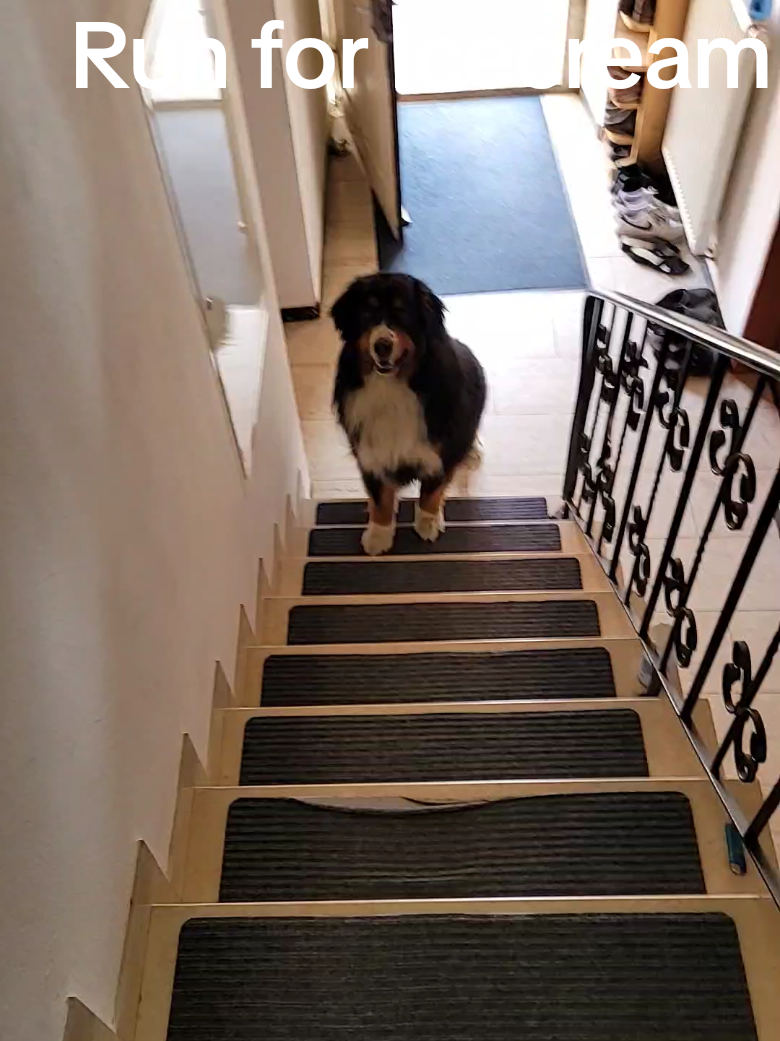 @berner.bruno