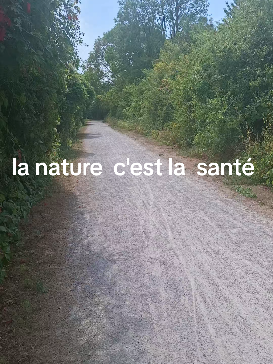 @falerna
