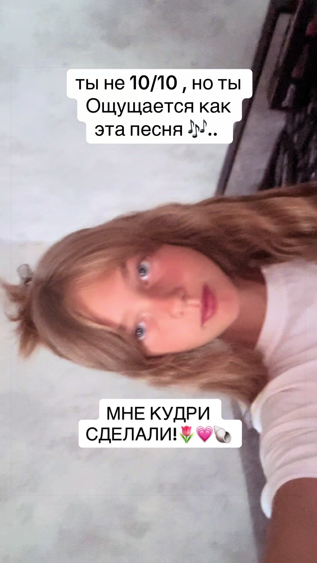 @🪸MINI_SA🐚