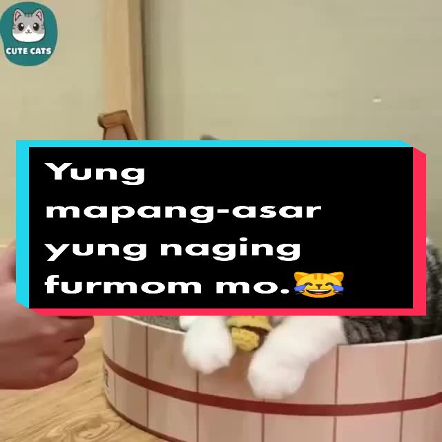 @heyriiiiiya🐱