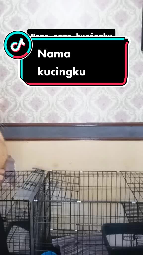 @Ika Wina