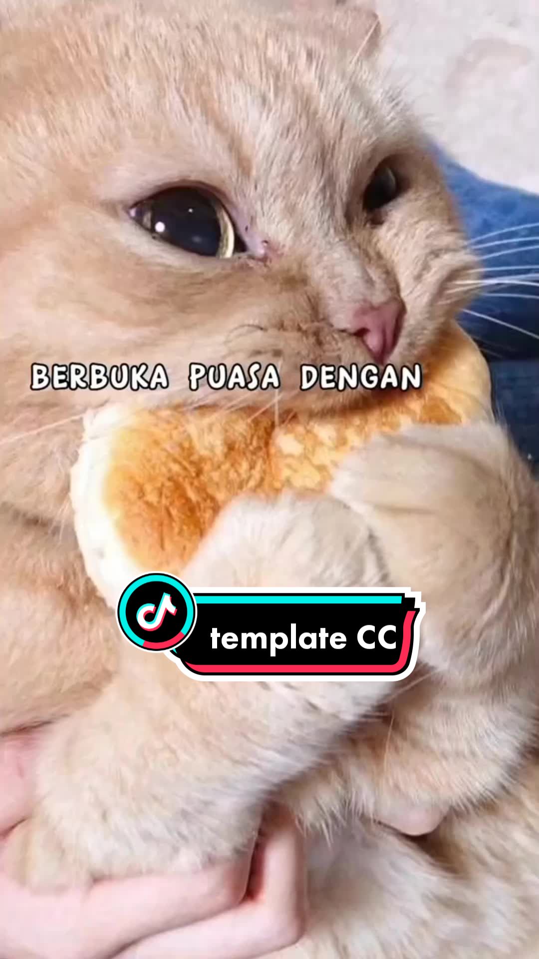 @TEMPLATE FYP