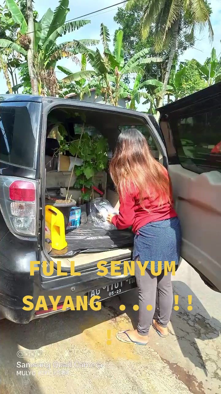 @MULYO JOYO FARM
