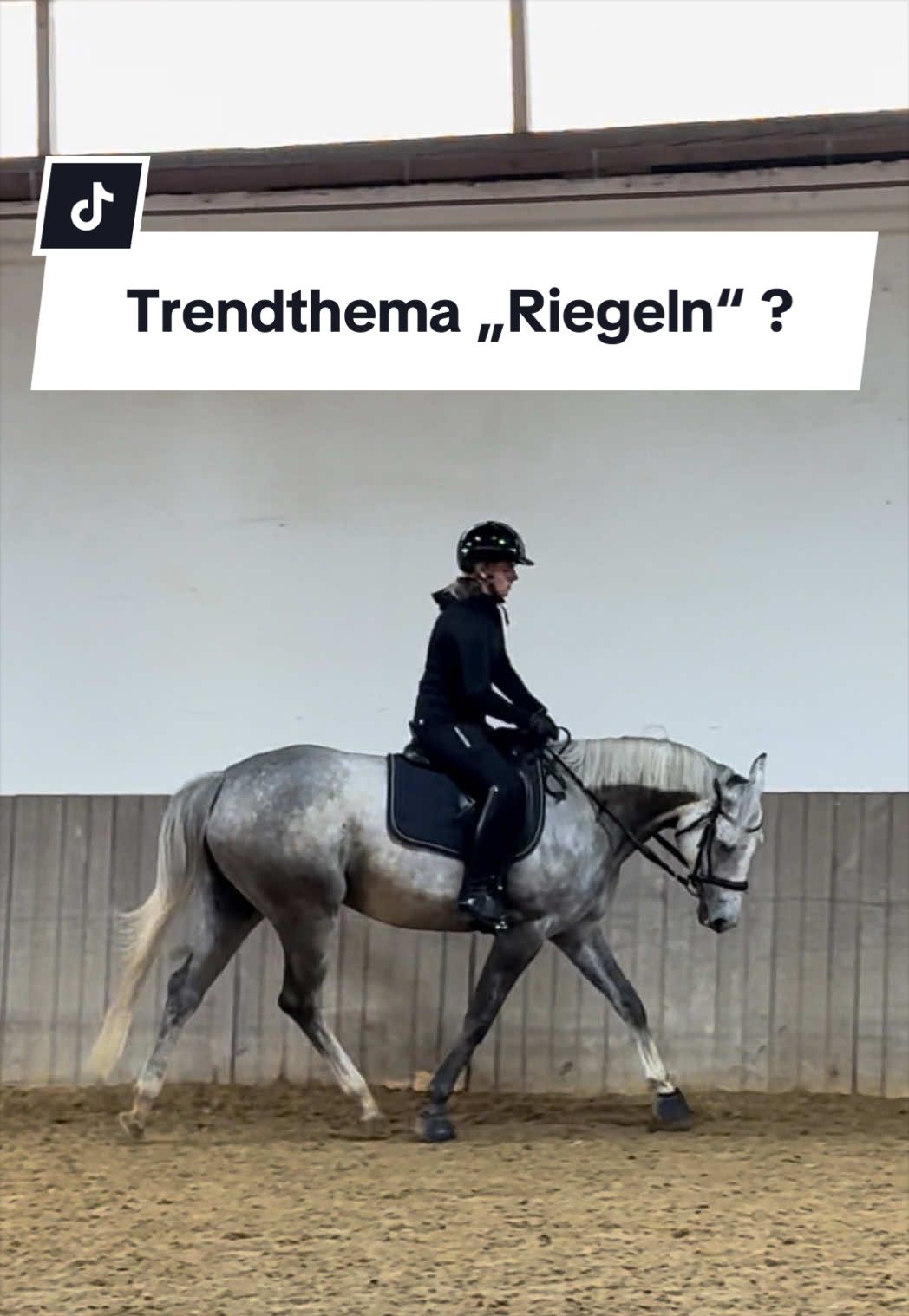 @Sophia • SL Reitschule