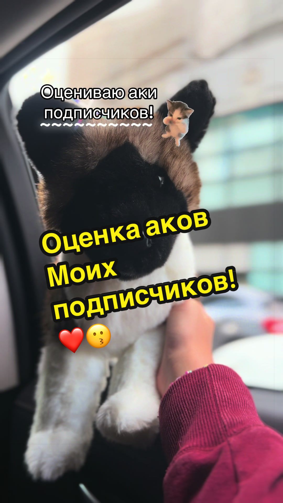 @🍒»𝔘𝔖𝔬𝔪𝔢𝔩_ESAS!⛓(Пдб)«🌇