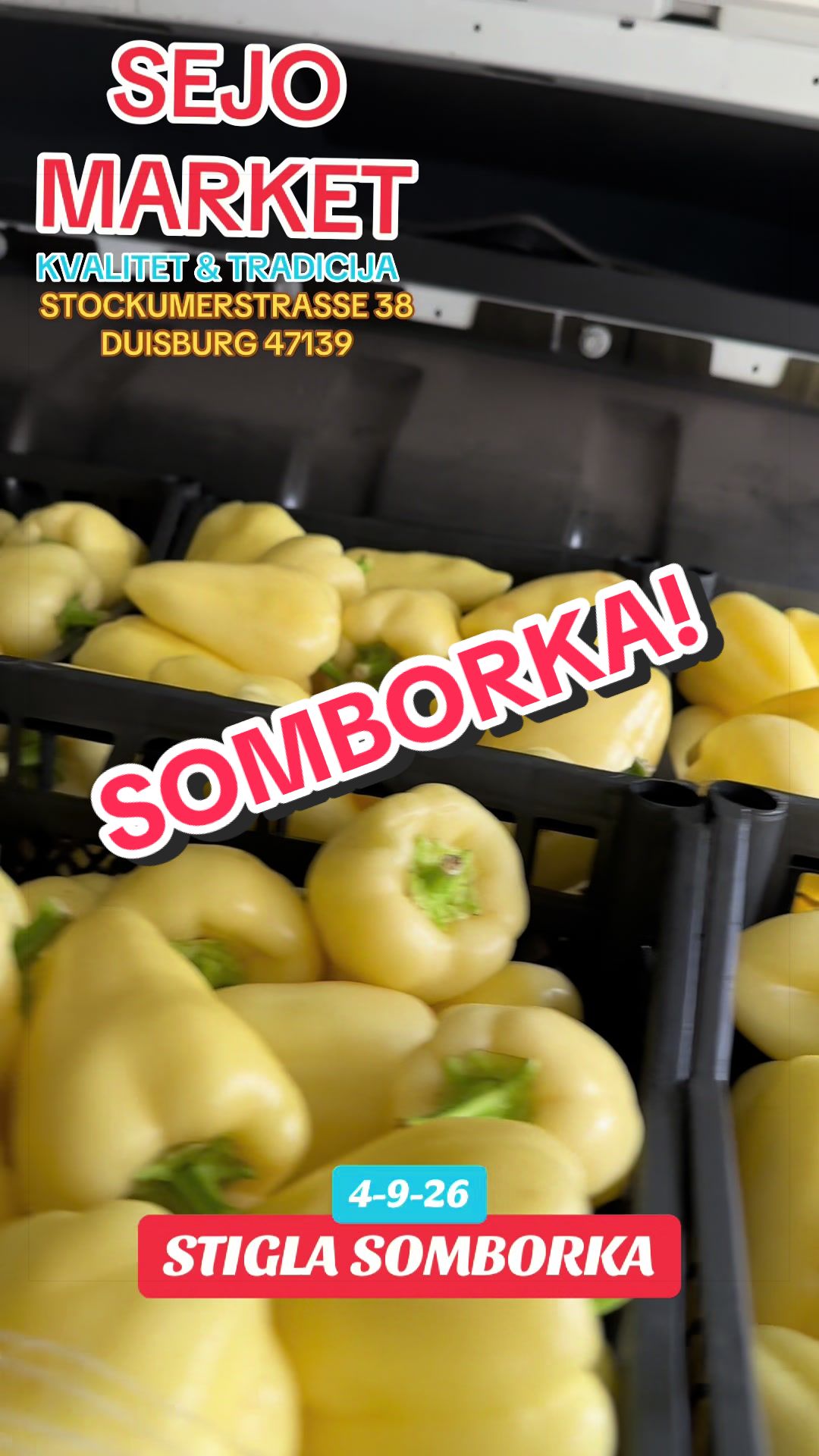 @SEJO MARKET