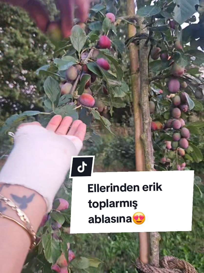 @filizgunoz