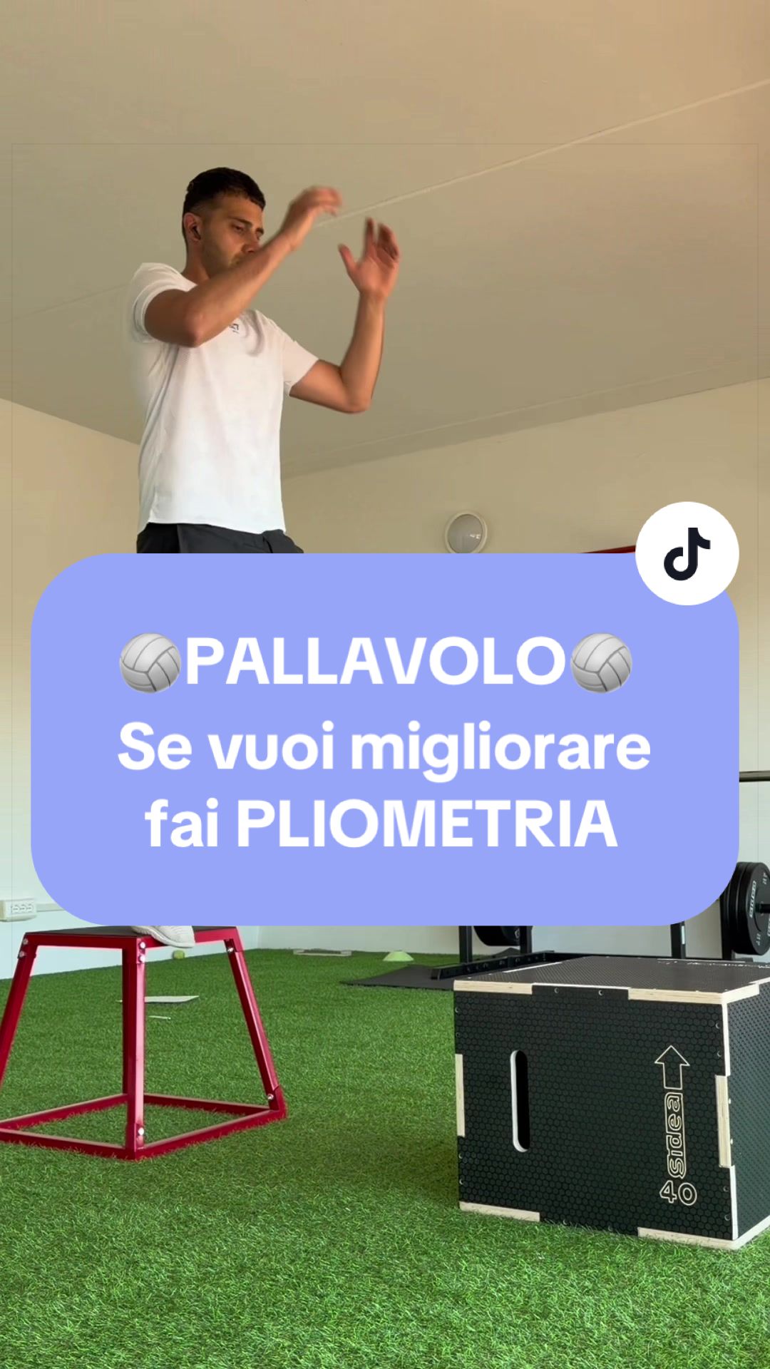 @Gioele Salvadori