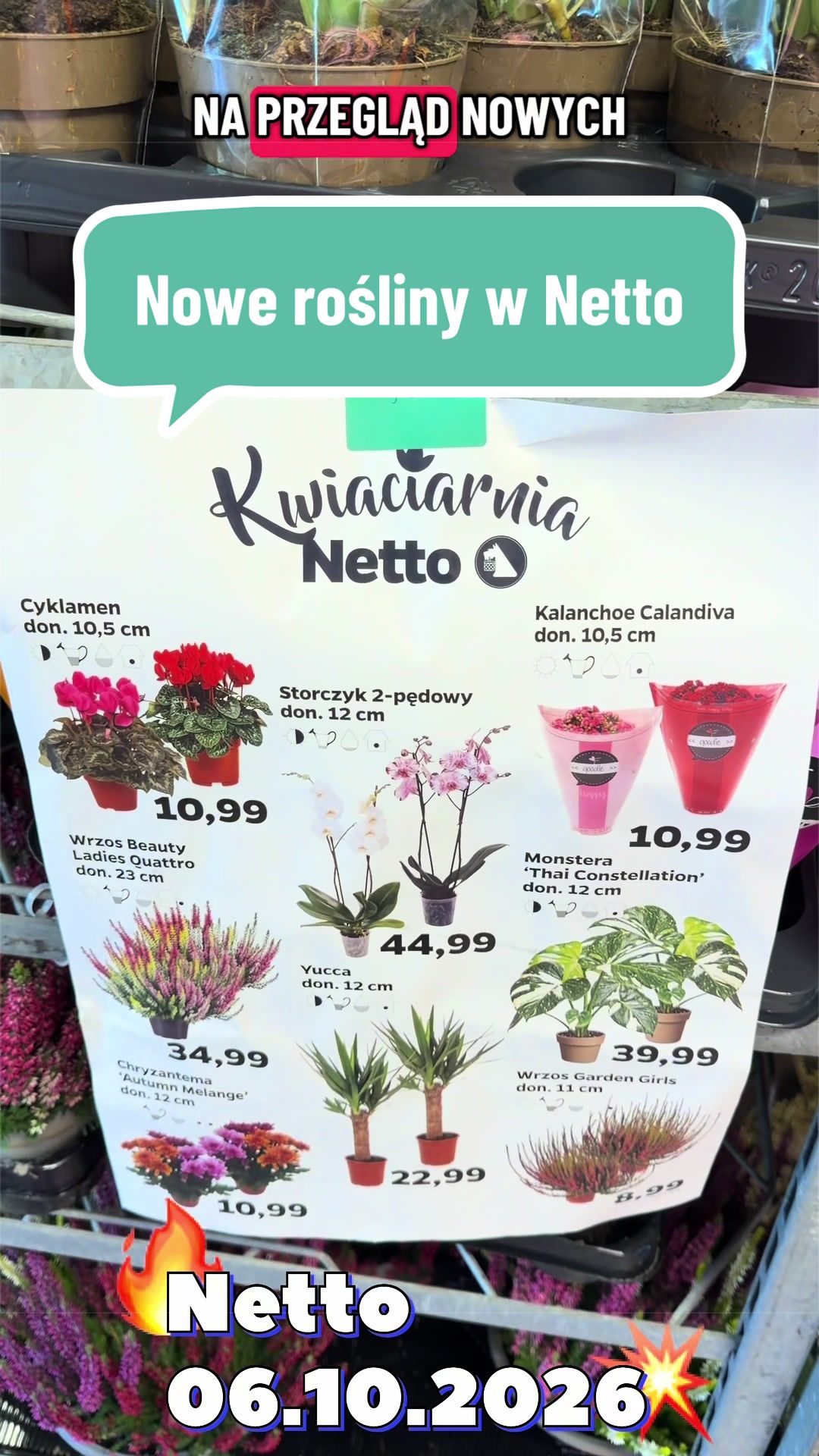 @maciej.plants
