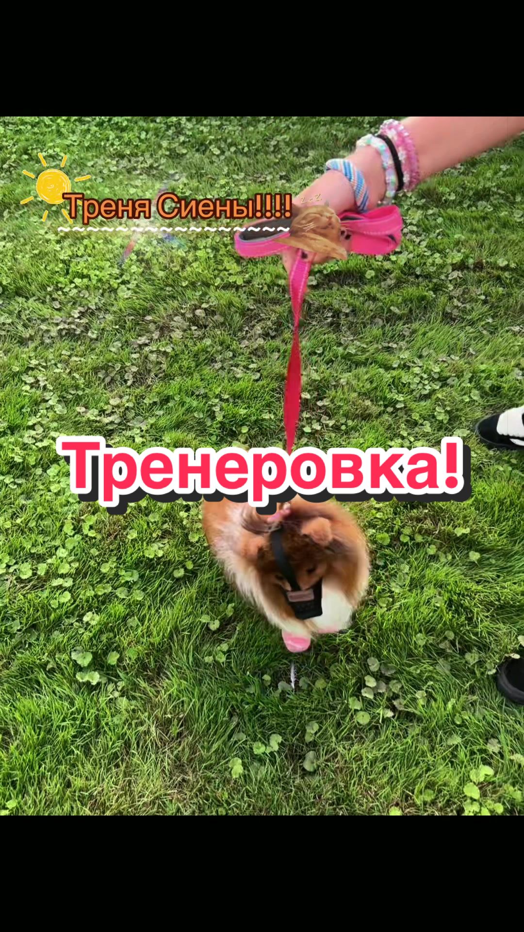 @🍒»𝔘𝔖𝔬𝔪𝔢𝔩_ESAS!⛓(Пдб)«🌇