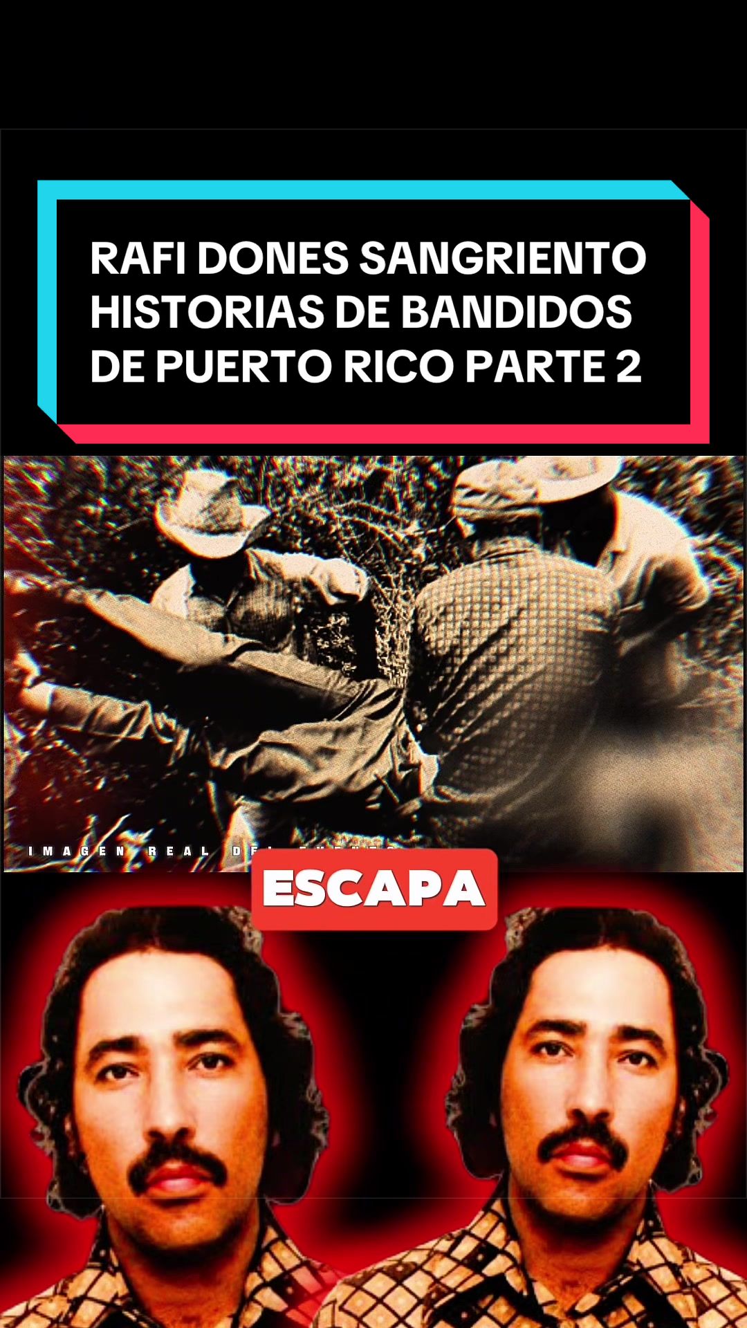 @El Bajo Mundo Real