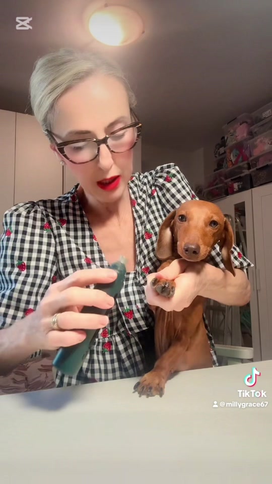@MillyGraceDrusilla_LeFagioline