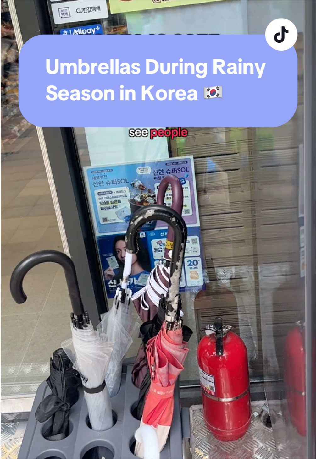 @Aiko Travels ✈️ Everywhere