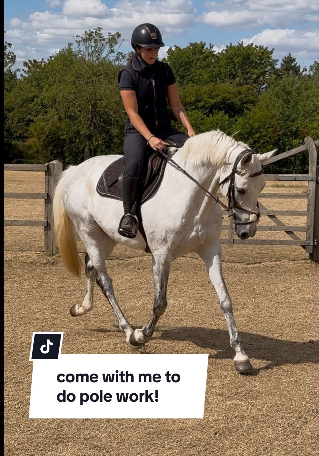 @Charlotte Martin