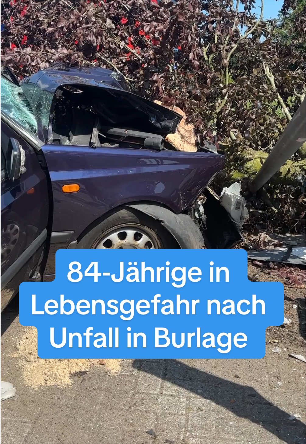 @Ostfriesen-Zeitung 🗞️