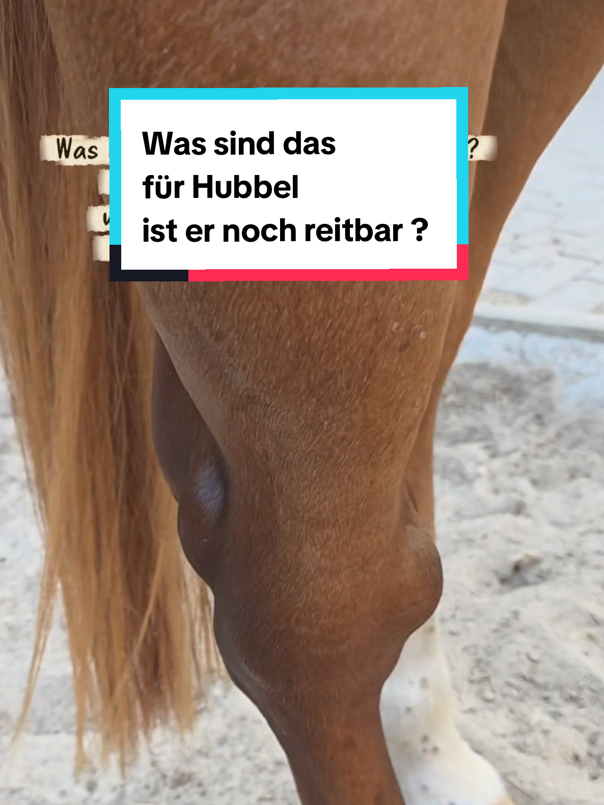 @🤠 Cowboy.HDH