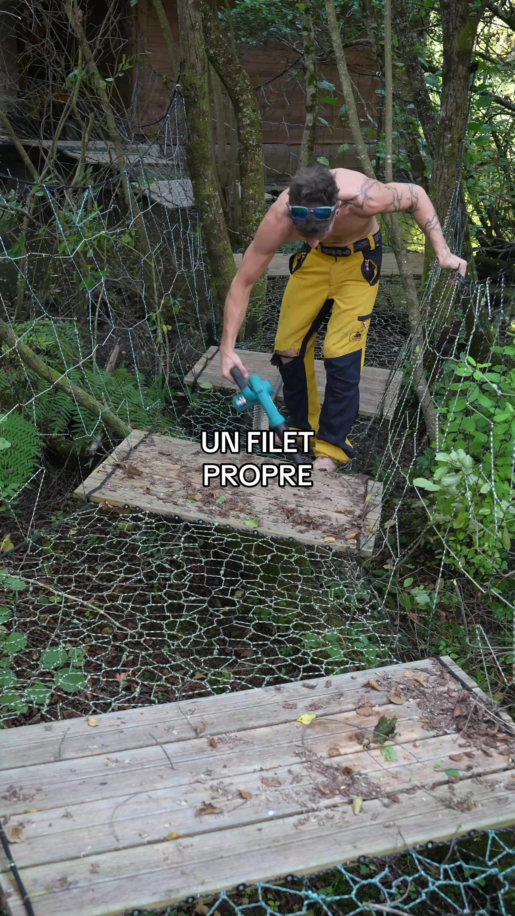 @Wildtreenet