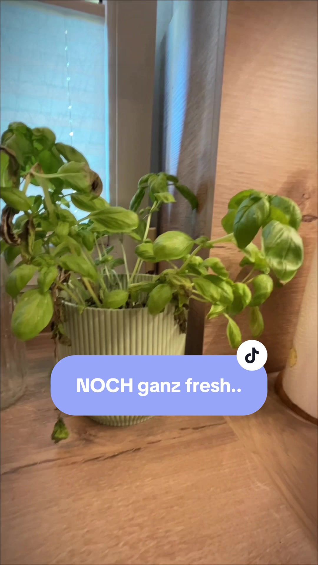 @byfraeuleinfrieda.de 🌱