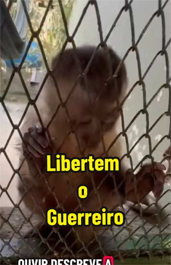 @Elisabete Silva
