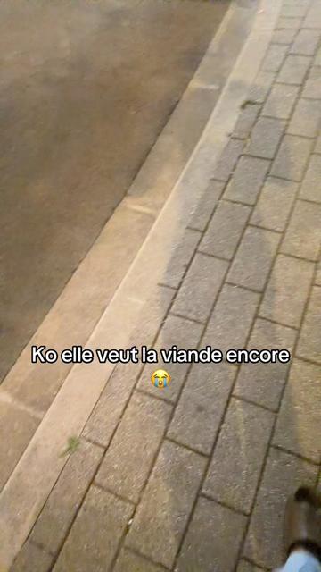 @Terre &agrave; terre 🪼