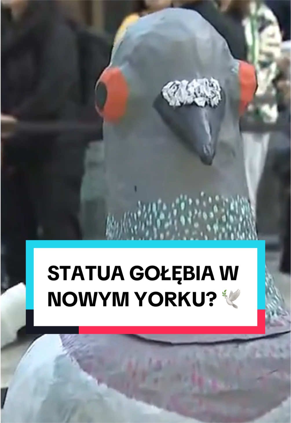@pandawojtekyt