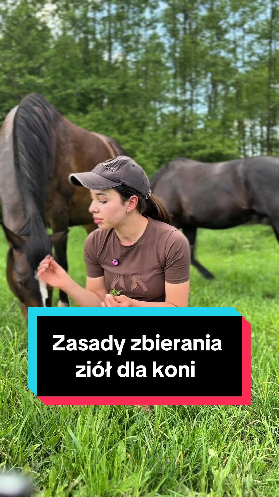 @Stado_Belli