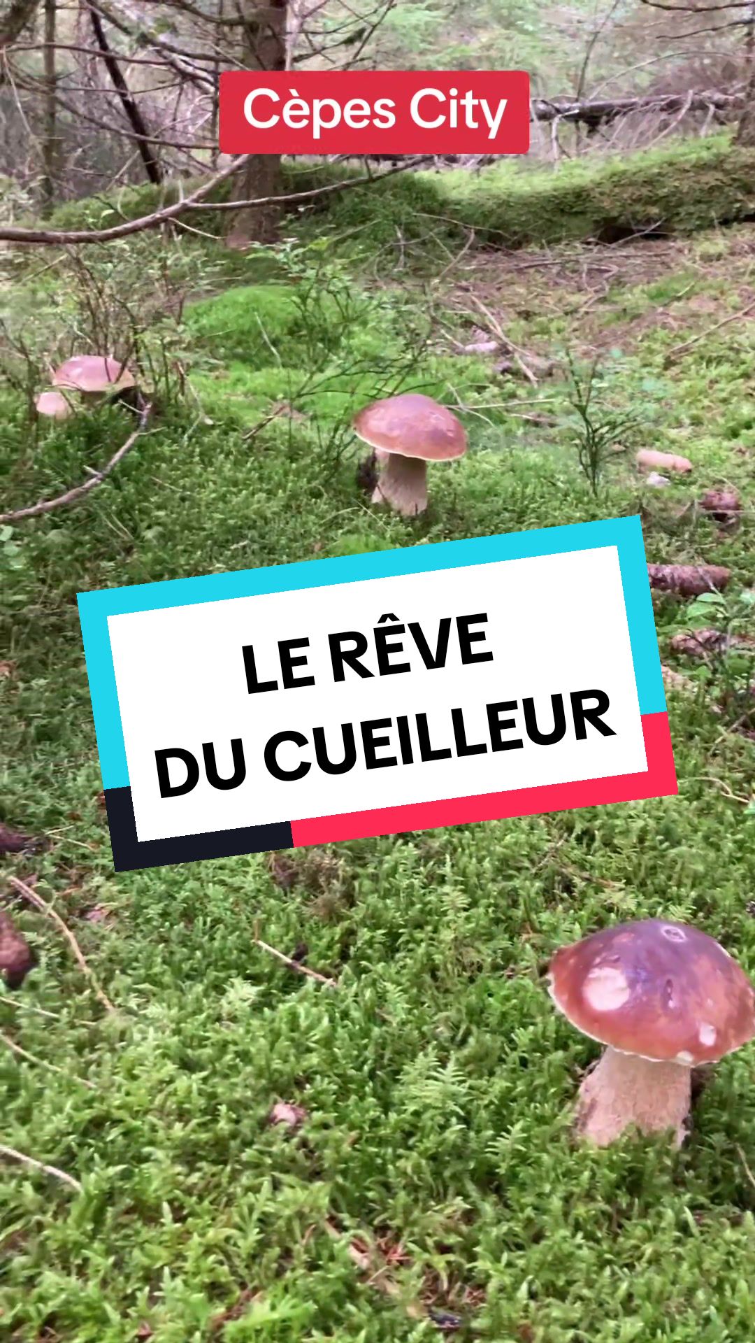 @Dan 🍄&zwj;🟫 Le Champologue