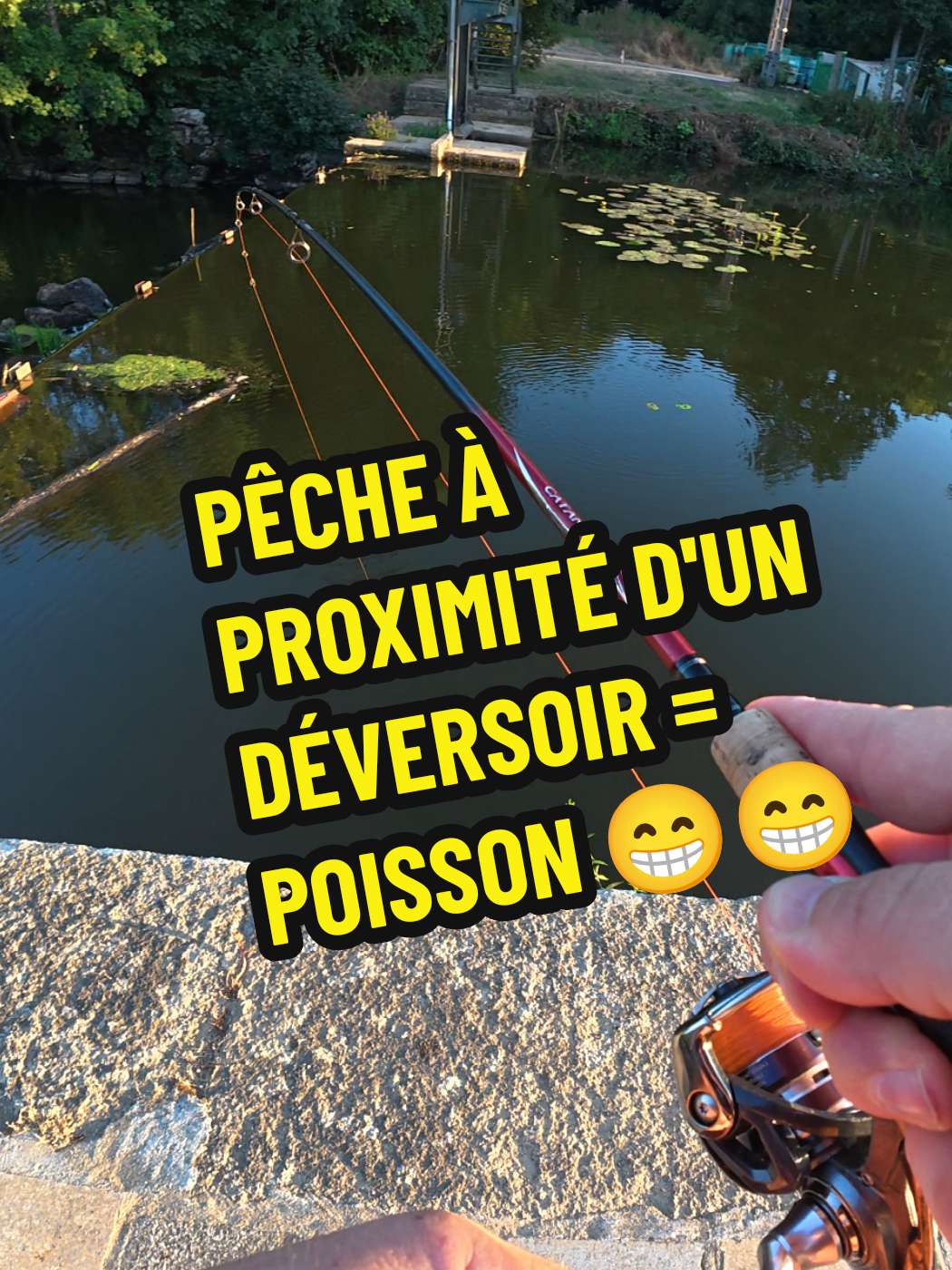 @🔥 ℙ𝔸ℙ𝔸𝕀𝕃𝕃𝔼 🔥