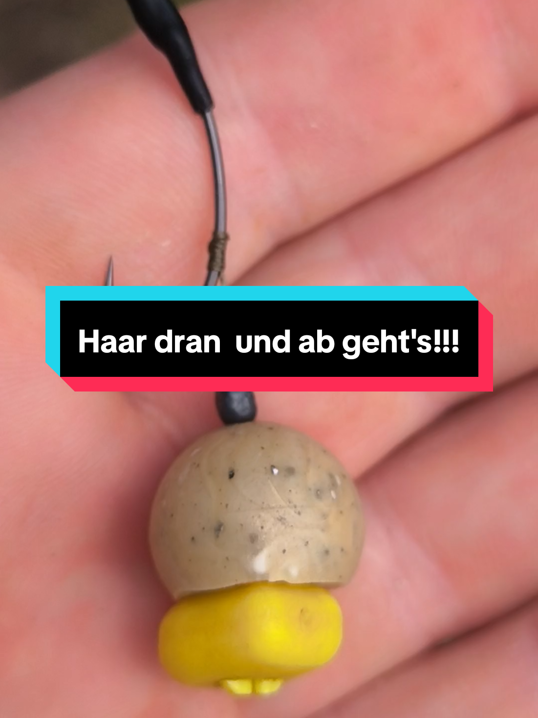 @carp_and_fun