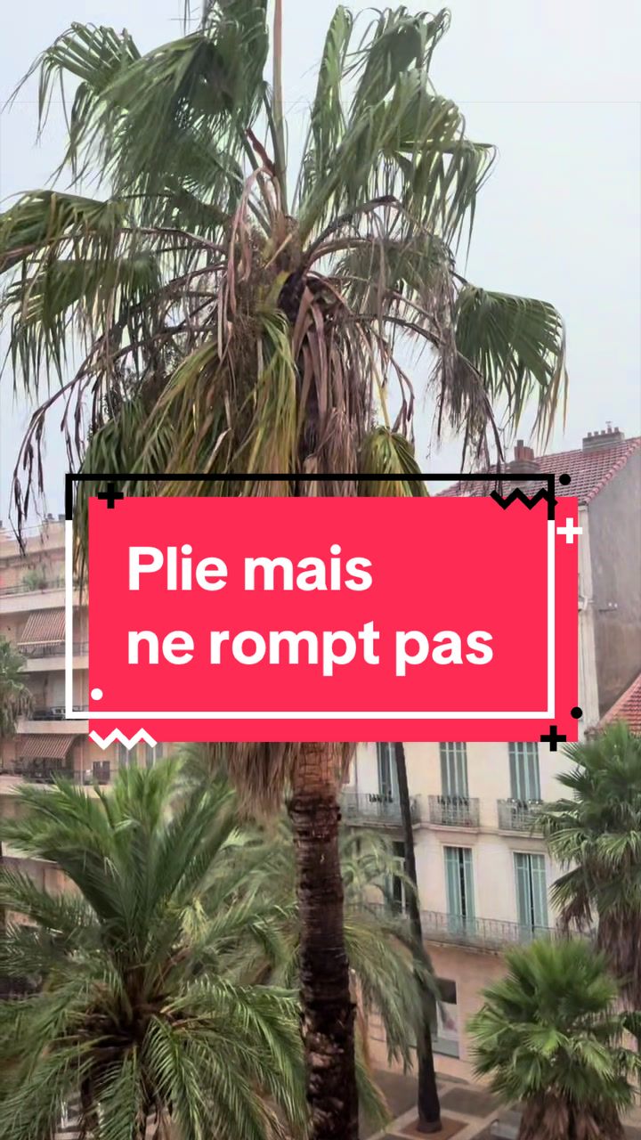 @Charles Malot
