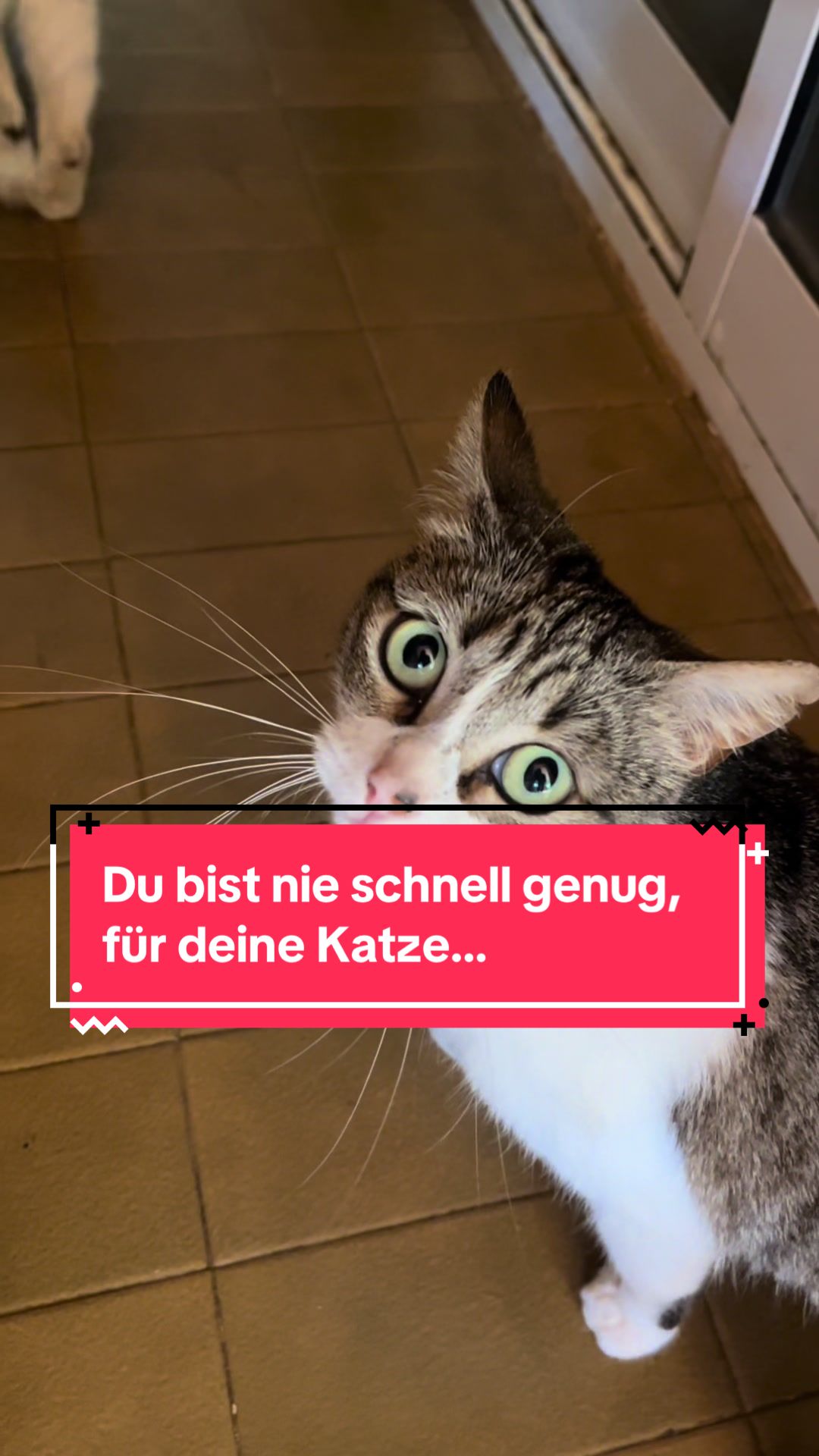 @FincaKunterbunt