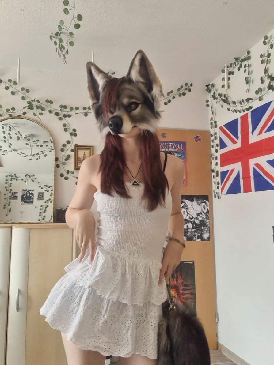 @☆sillydog☆