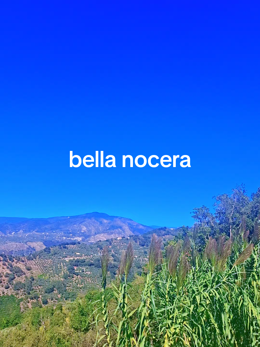 @falerna