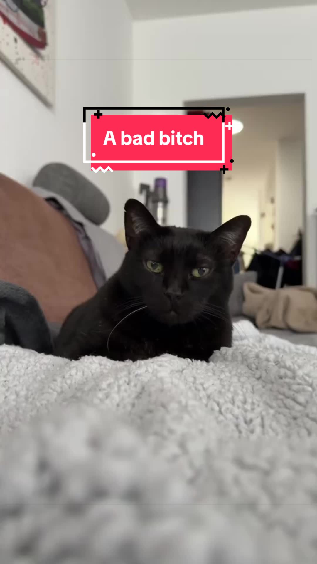 @Luna