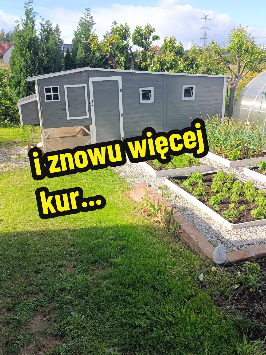 @Marcin ogrodnik