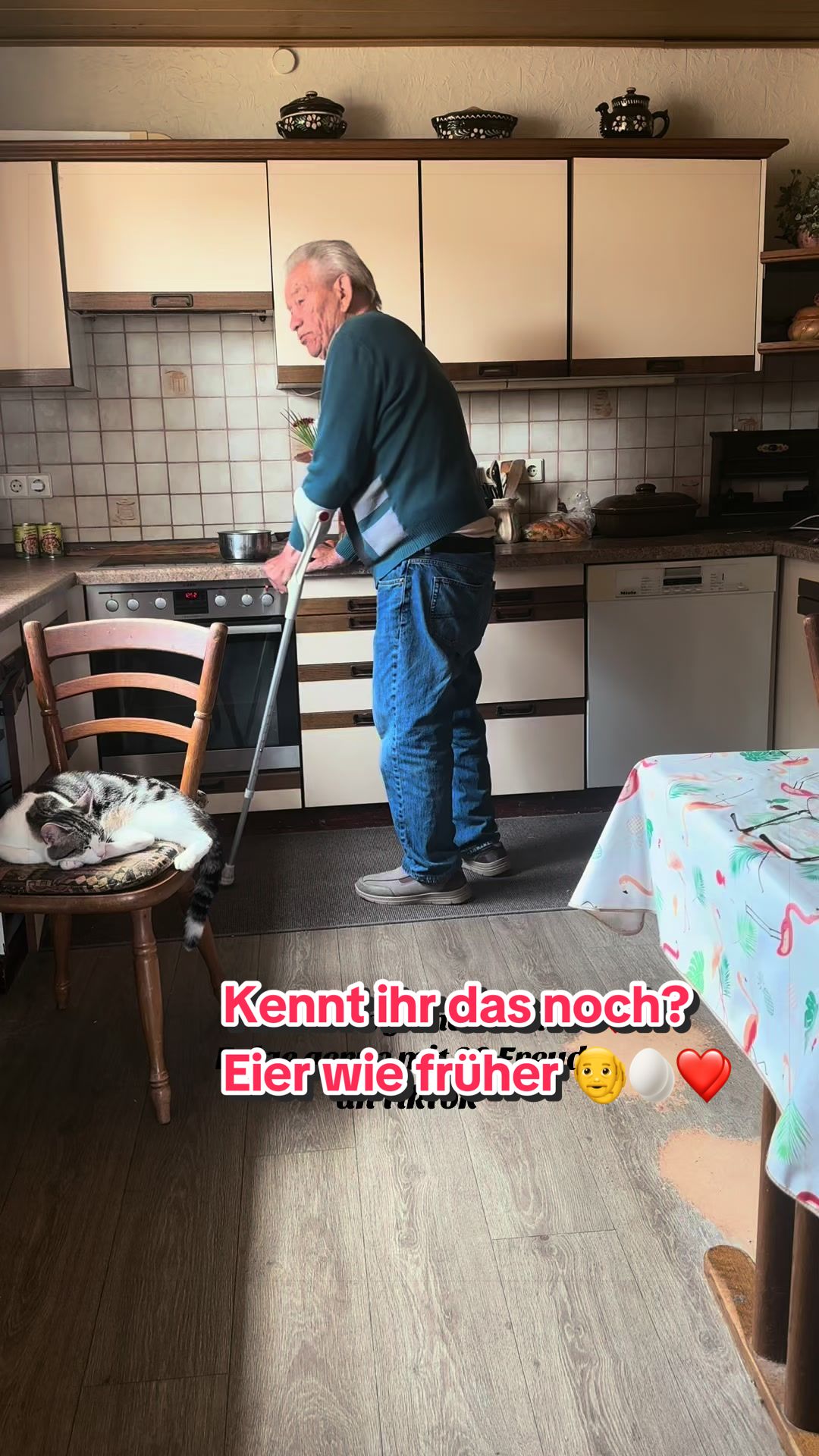 @tiktokheinz