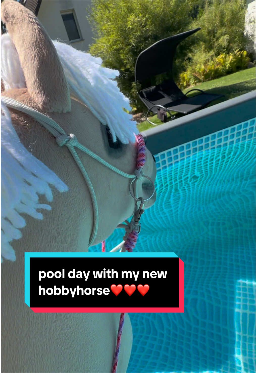 @kht_horselife