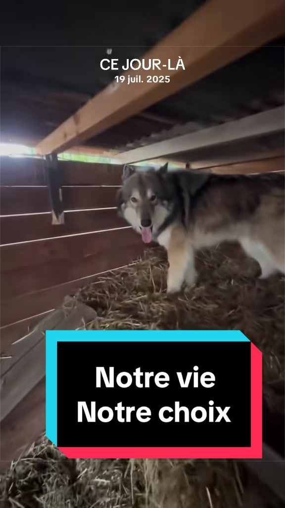 @🐺 Ragnar_et_sa_meute 🐺