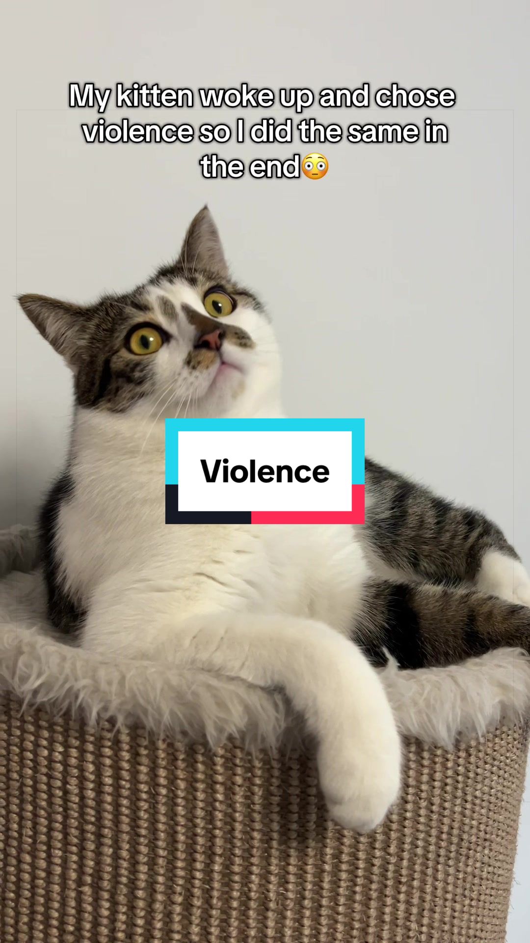 @Fibi & Bobo