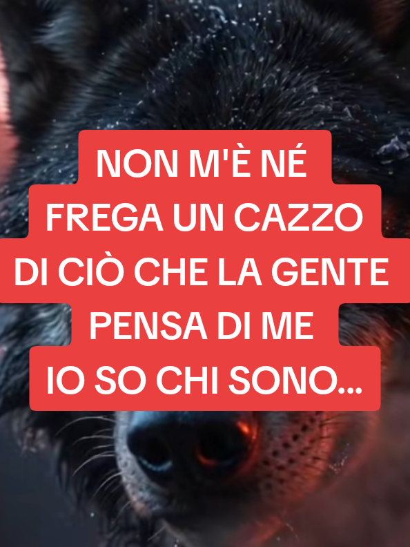 @ALESSANDRO_IL_ROMANO