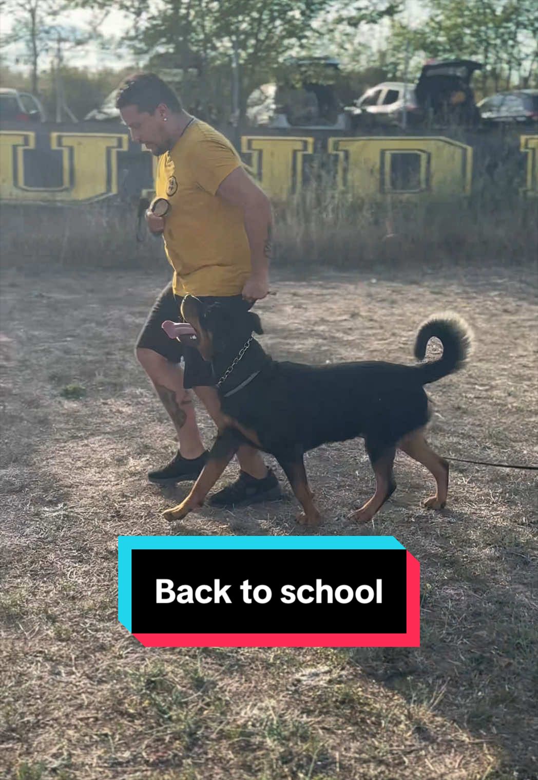@LifeBound K9