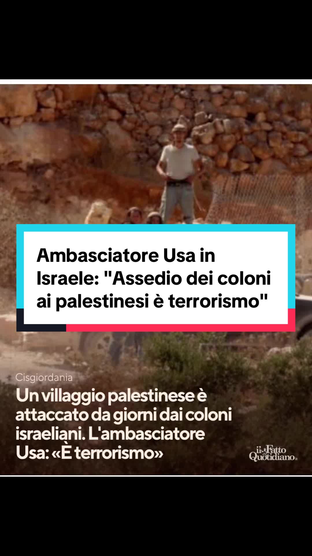 @Leo A. Tridico