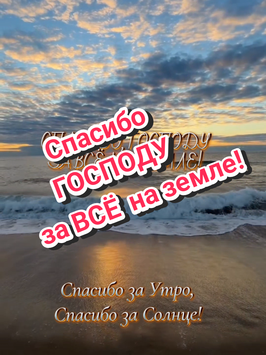 @✨Елена✨